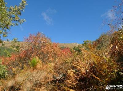 Valle Hermoso - Pinar del Espaldar; excursiones granada embalses de la comunidad de madrid busco ami